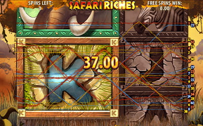 Safari Riches Slot Free Spins